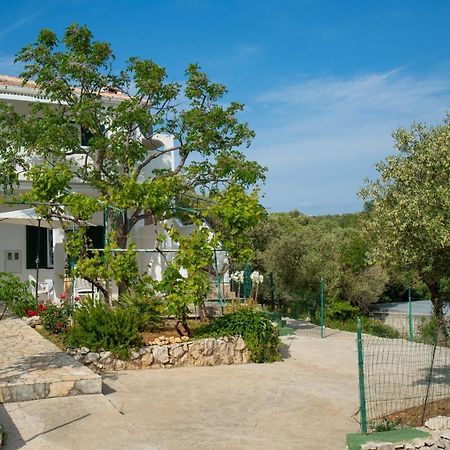 Apartmán Kuca Za Odmor Denona Borovići Exteriér fotografie