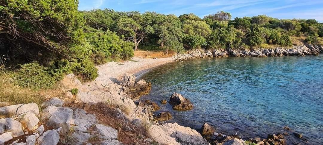 Apartmán Kuca Za Odmor Denona Borovići Exteriér fotografie